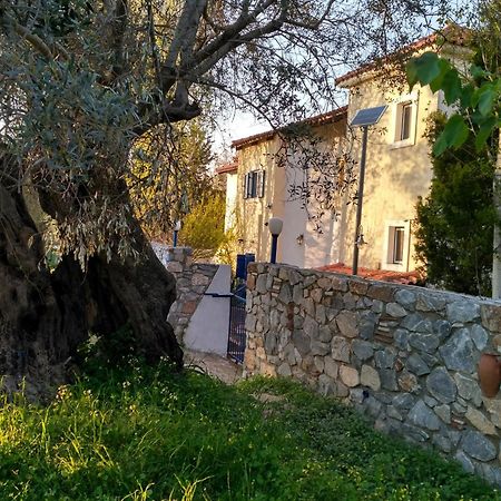 9 Musses Hotel Apartments Skala Mistegnon Exterior photo